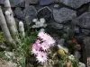 法國南部待售賓館 - 面向比利牛斯山脈的大花園 (20).webp